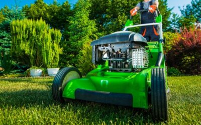 Don’t Miss Peak Season: Supercharge Your Business with Baystate Marketing’s Local SEO for Landscapers